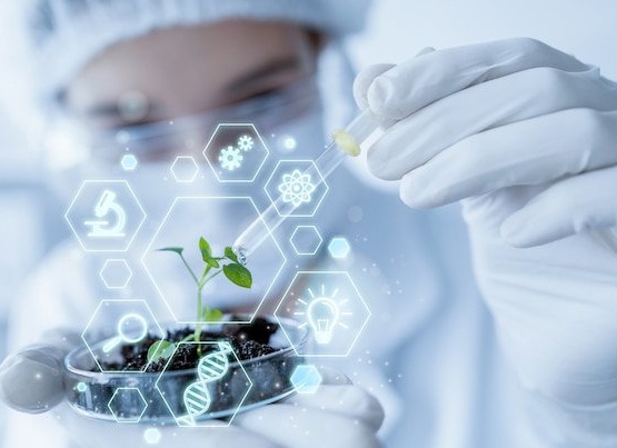 8 признаков адекватного руководителя, с которым приятно работать